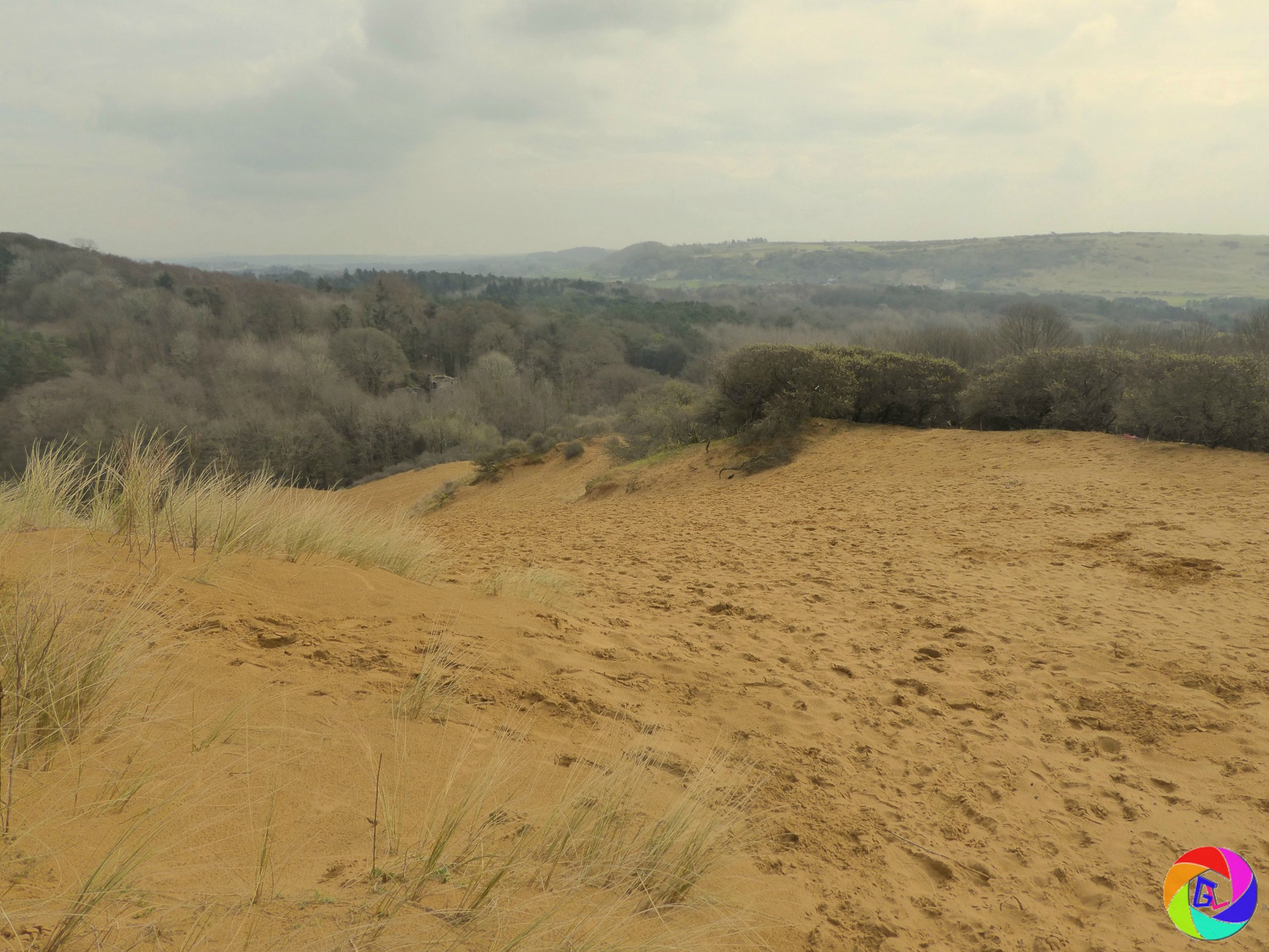 Dunes reach 200' high in places